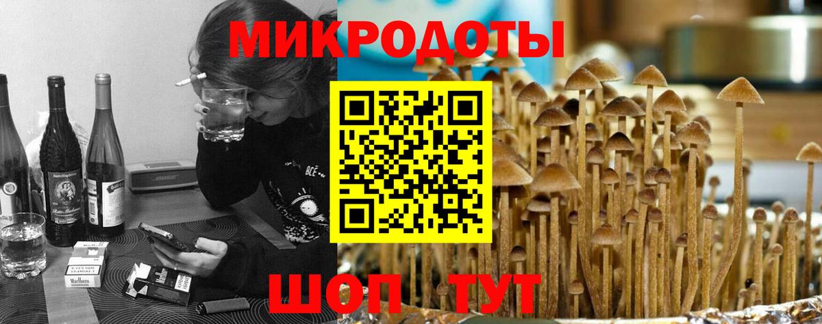 Псилоцибиновые грибы Cubensis Туймазы
